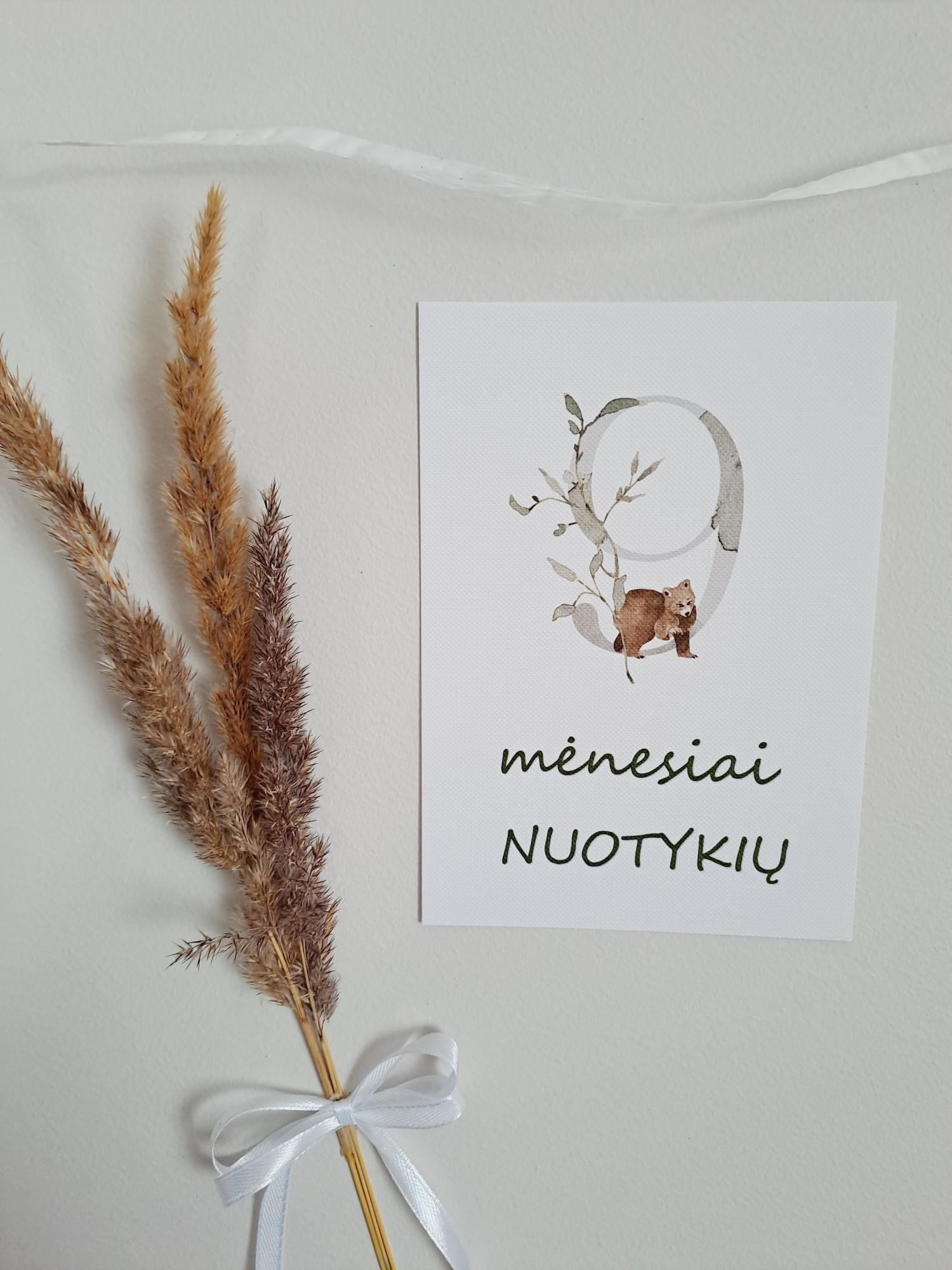 Mėnesių kortelės naujagimiui