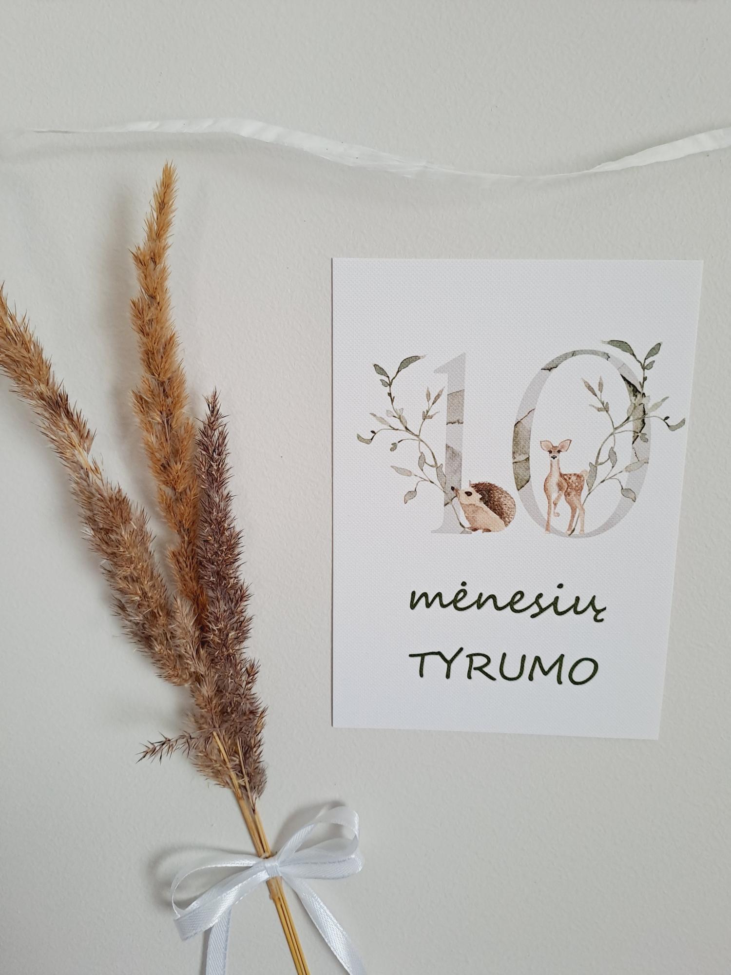 Mėnesių kortelės naujagimiui