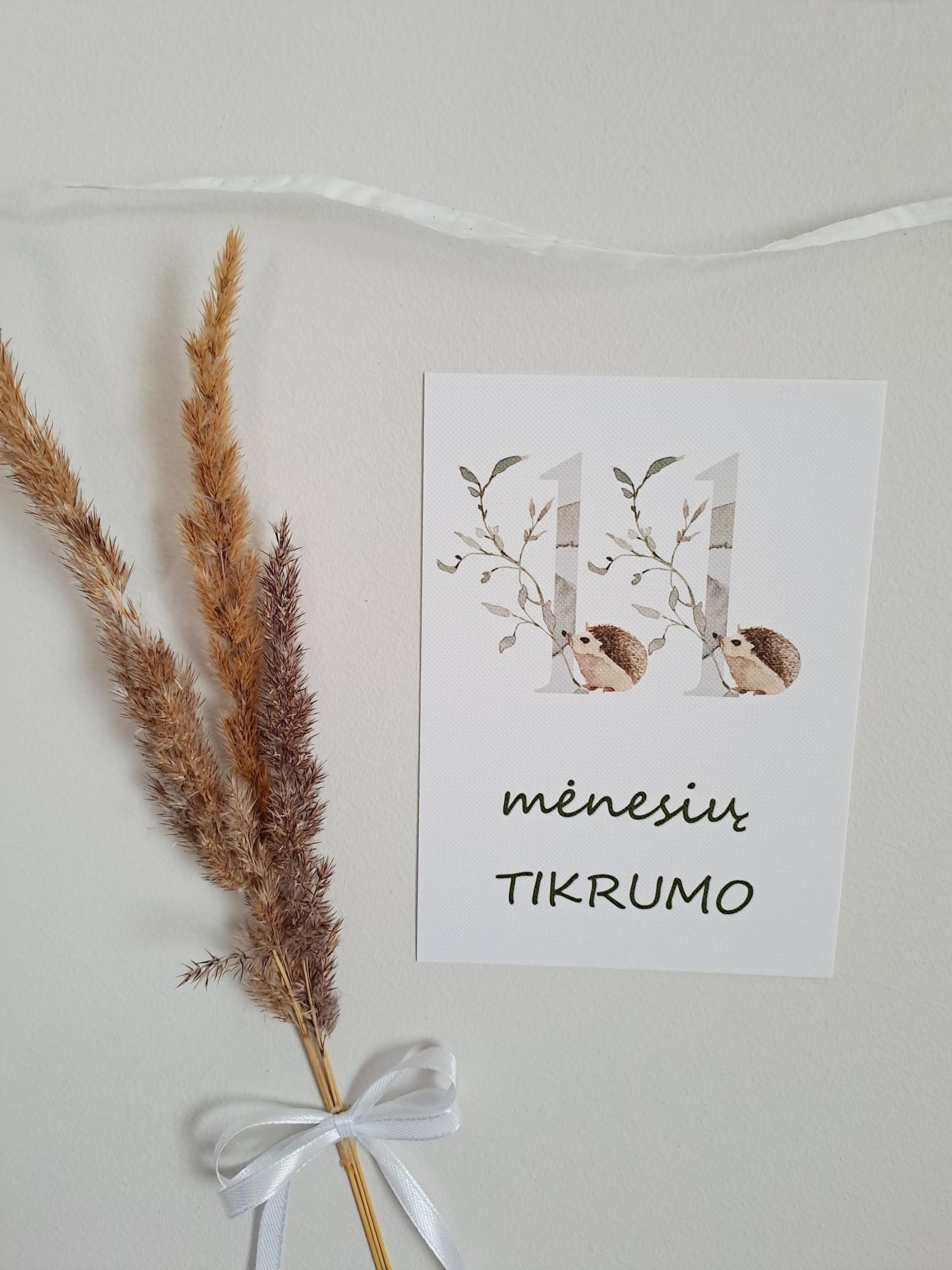 Mėnesių kortelės naujagimiui