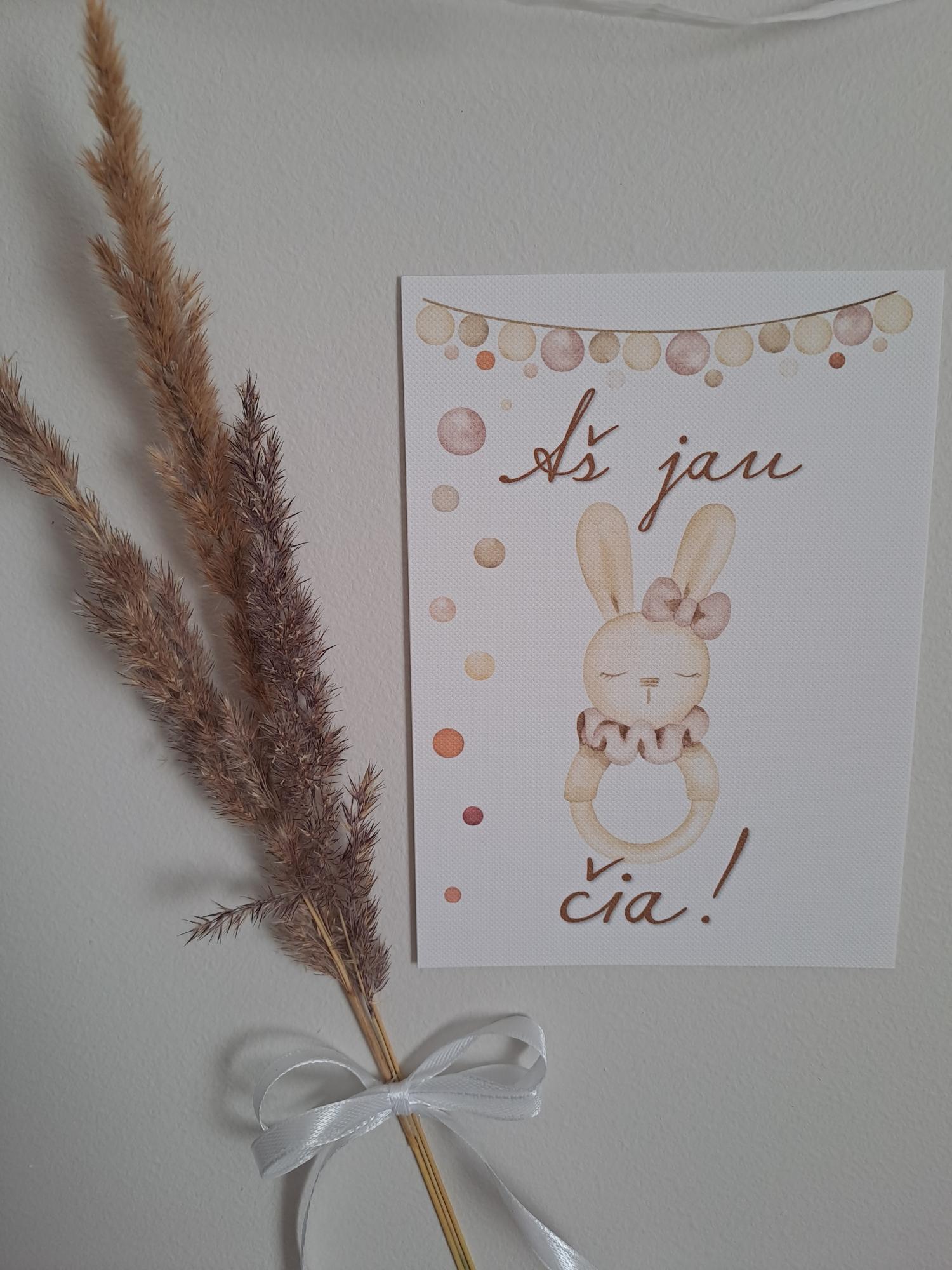 Mėnesių kortelės naujagimiui