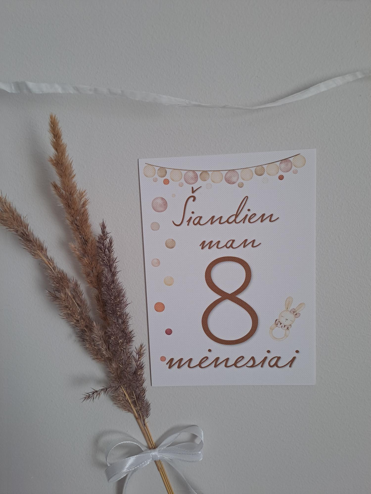 Mėnesių kortelės naujagimiui