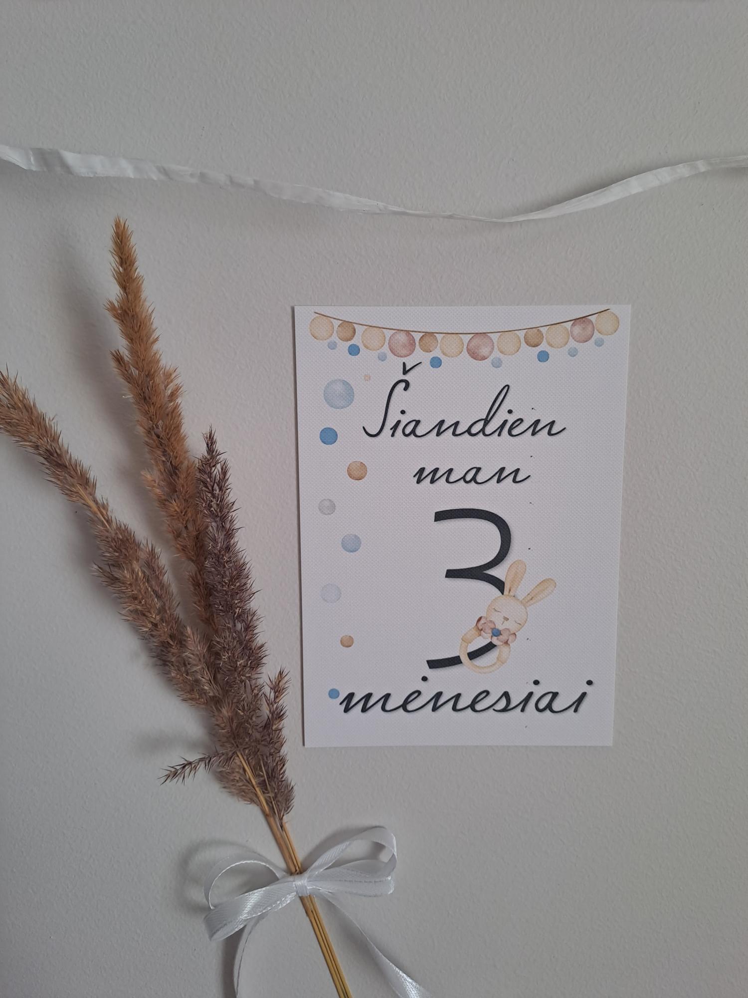 Mėnesių kortelės naujagimiui