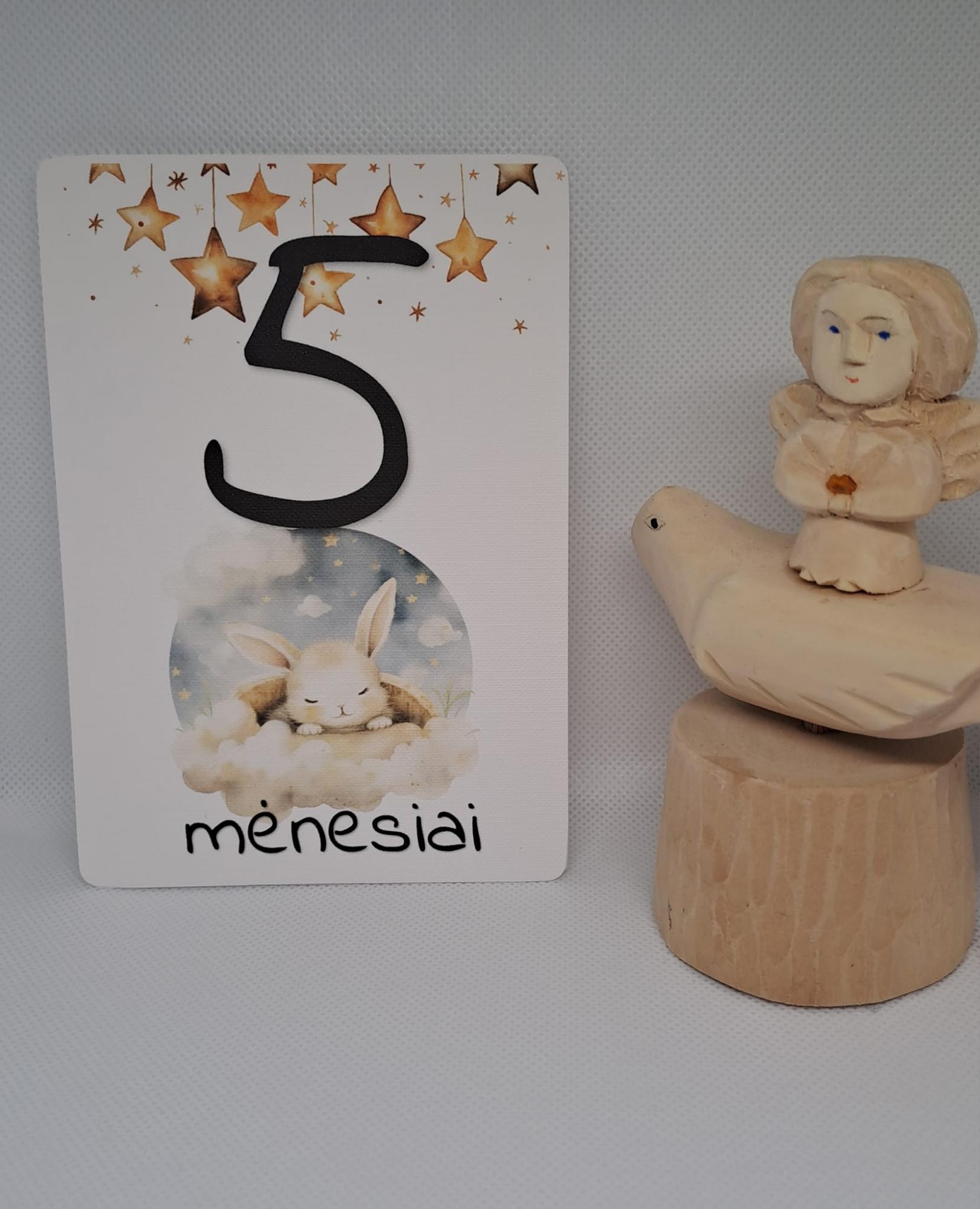 Mėnesių kortelės naujagimiui SALDUS MIEGELIS