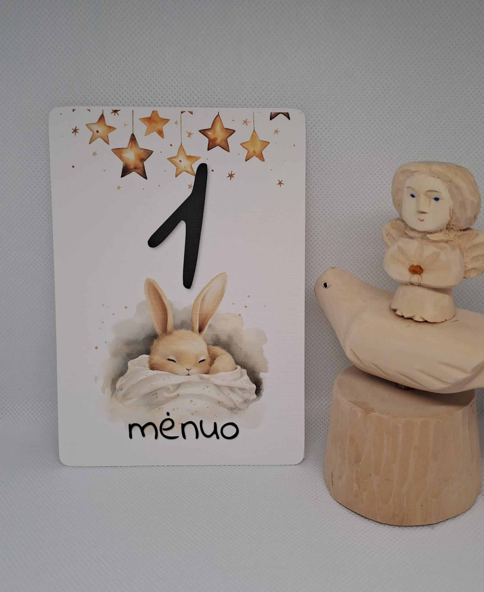 Mėnesių kortelės naujagimiui SALDUS MIEGELIS
