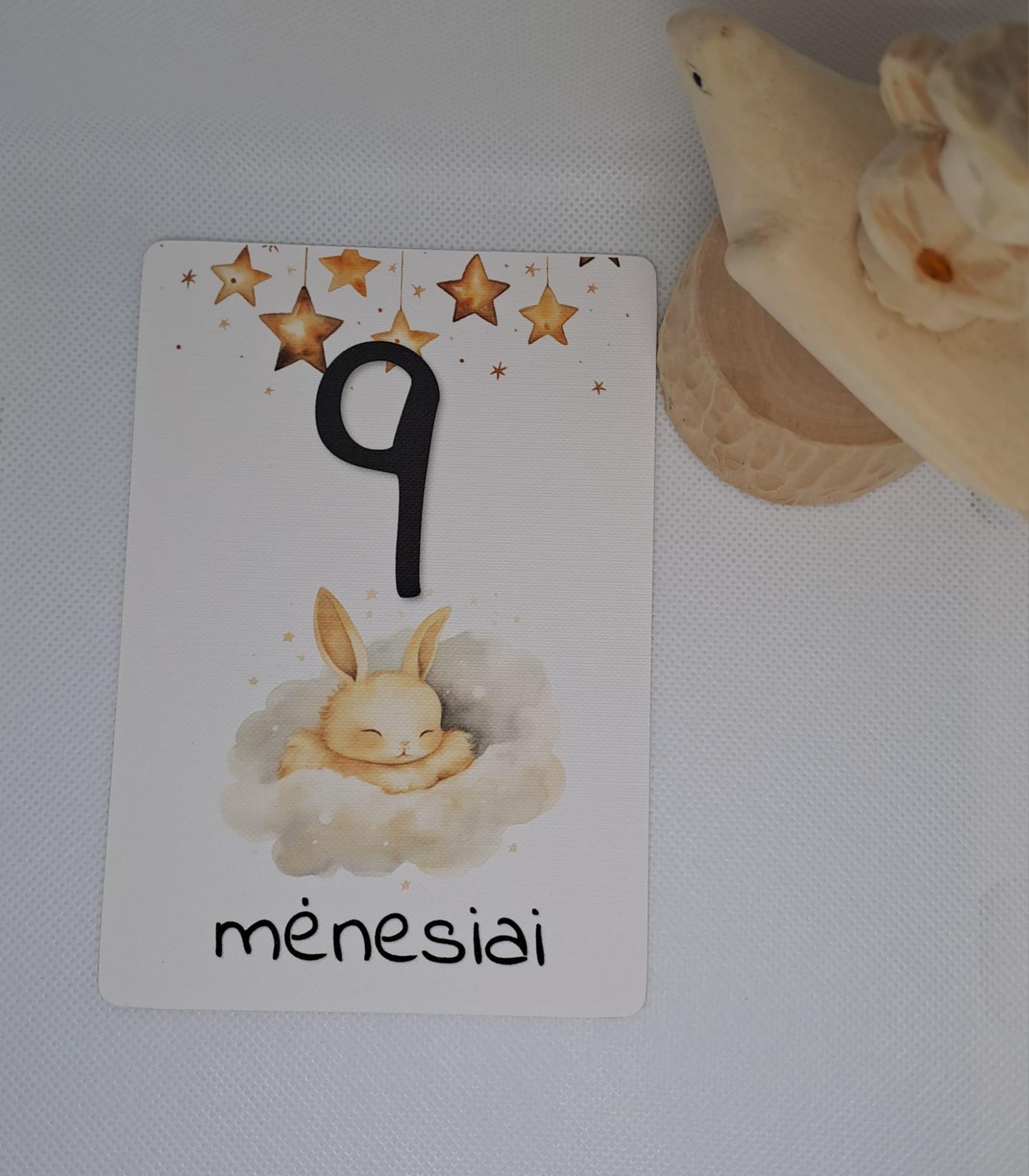 Mėnesių kortelės naujagimiui SALDUS MIEGELIS