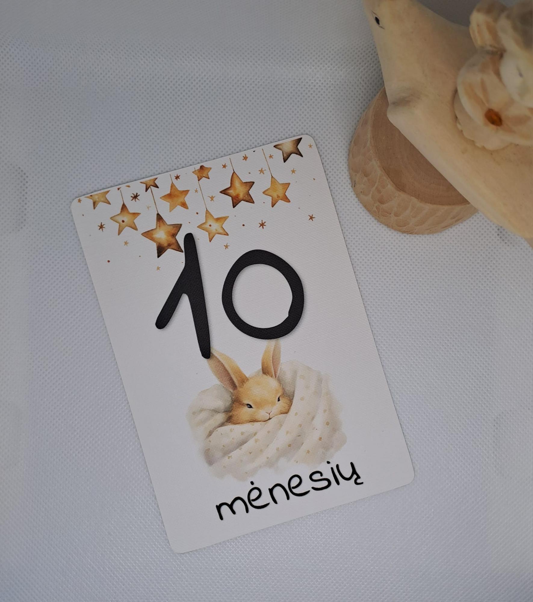 Mėnesių kortelės naujagimiui SALDUS MIEGELIS
