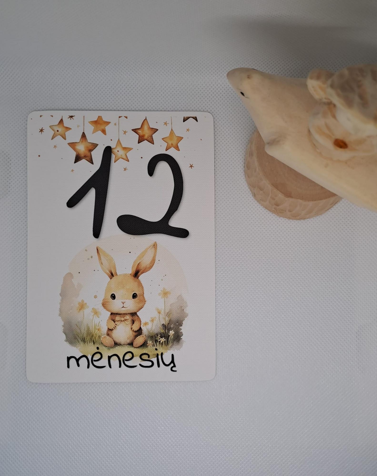 Mėnesių kortelės naujagimiui SALDUS MIEGELIS