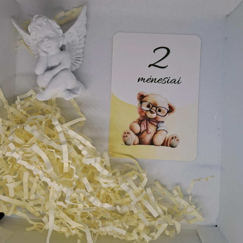 Mėnesių kortelės naujagimiui