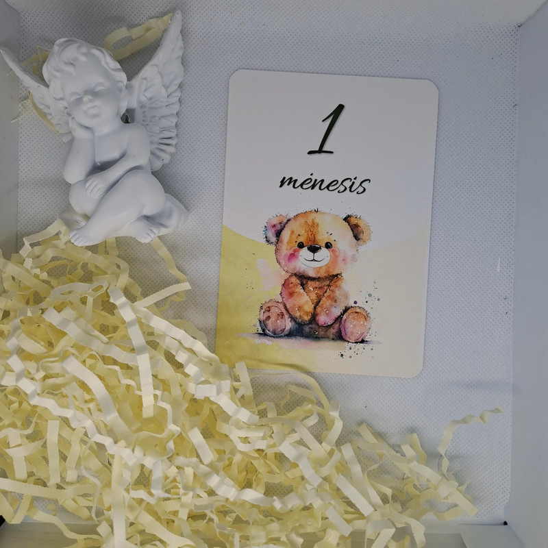 Mėnesių kortelės naujagimiui