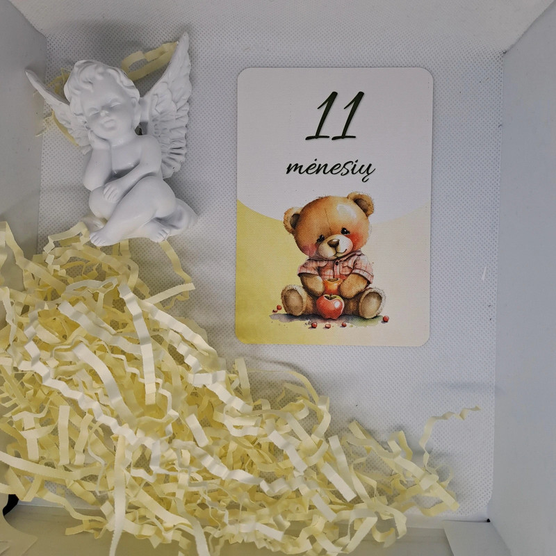 Mėnesių kortelės naujagimiui