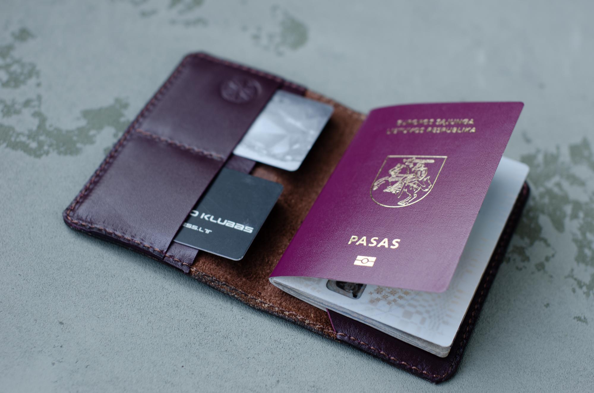 Rudas paso viršelis su Vyčiu.