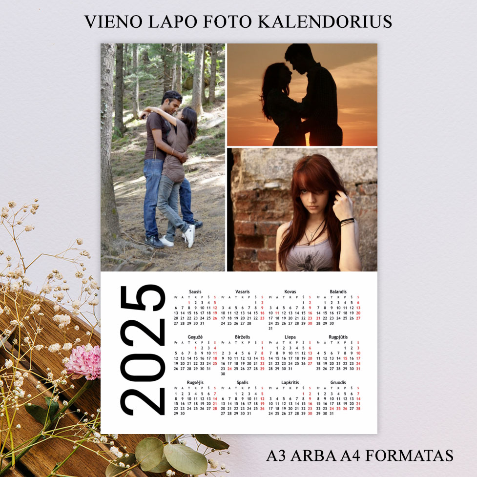 Vieno lapo foto kalendorius (VLK-48)