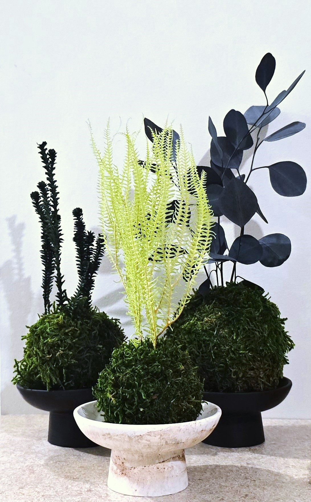 Stabilizuotų samanų ir augalų kokedama rankų darbo Jemonito dubenėlyje