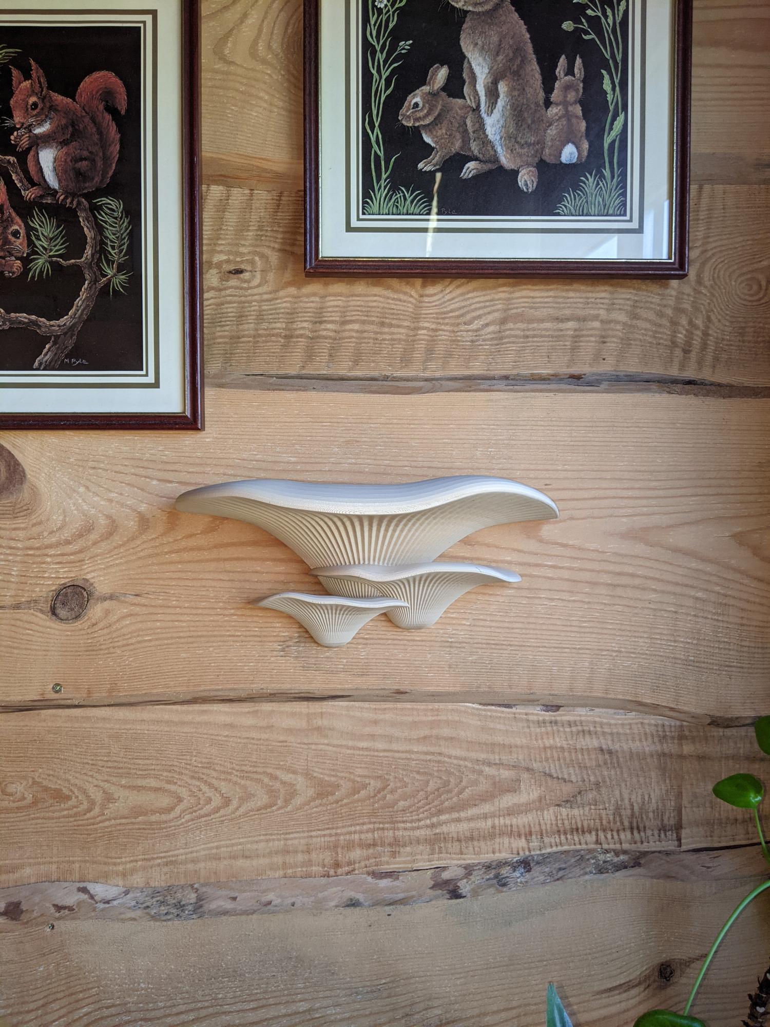 Dekoratyviniai Grybai Beige