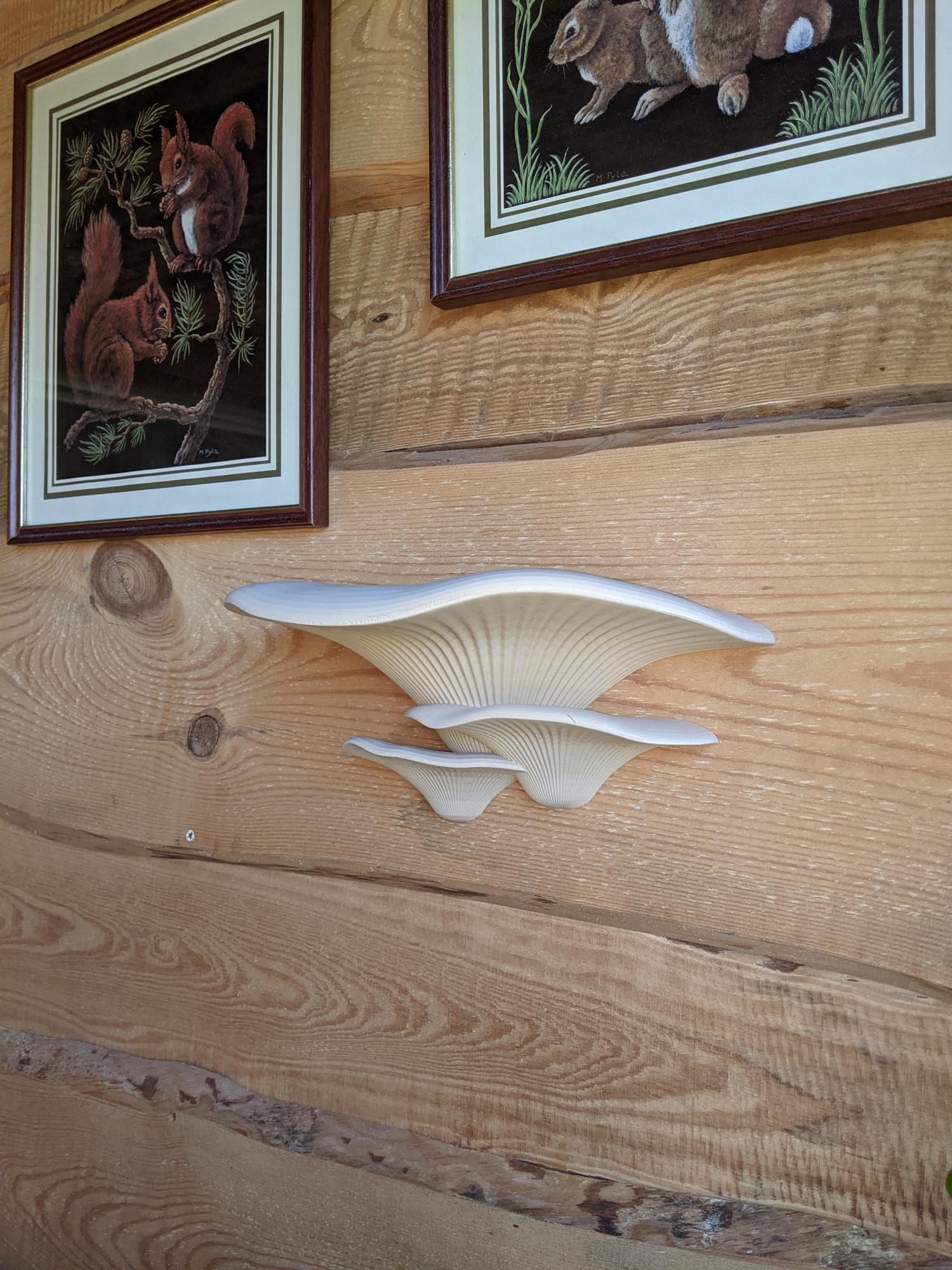 Dekoratyviniai Grybai Beige