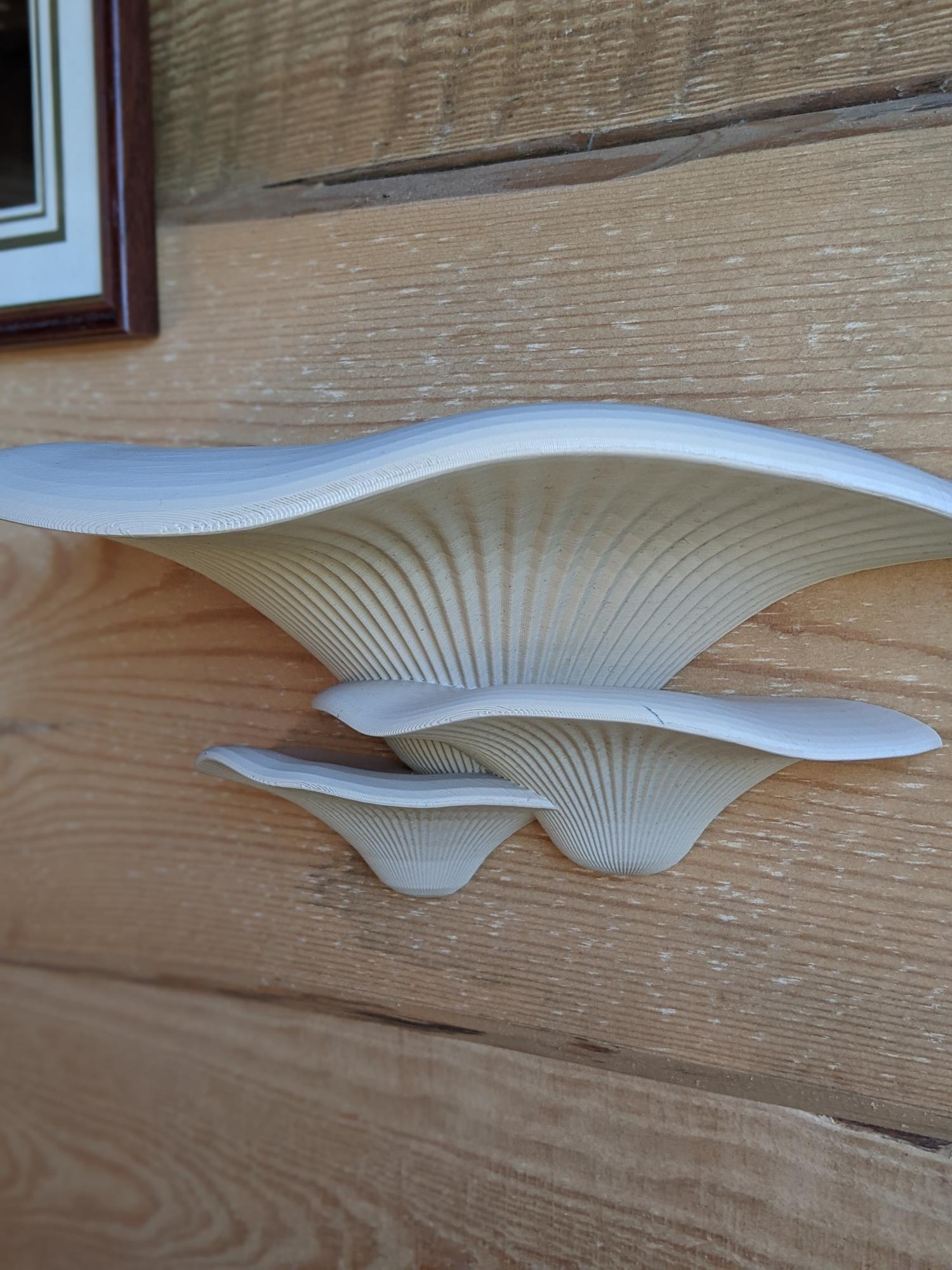 Dekoratyviniai Grybai Beige