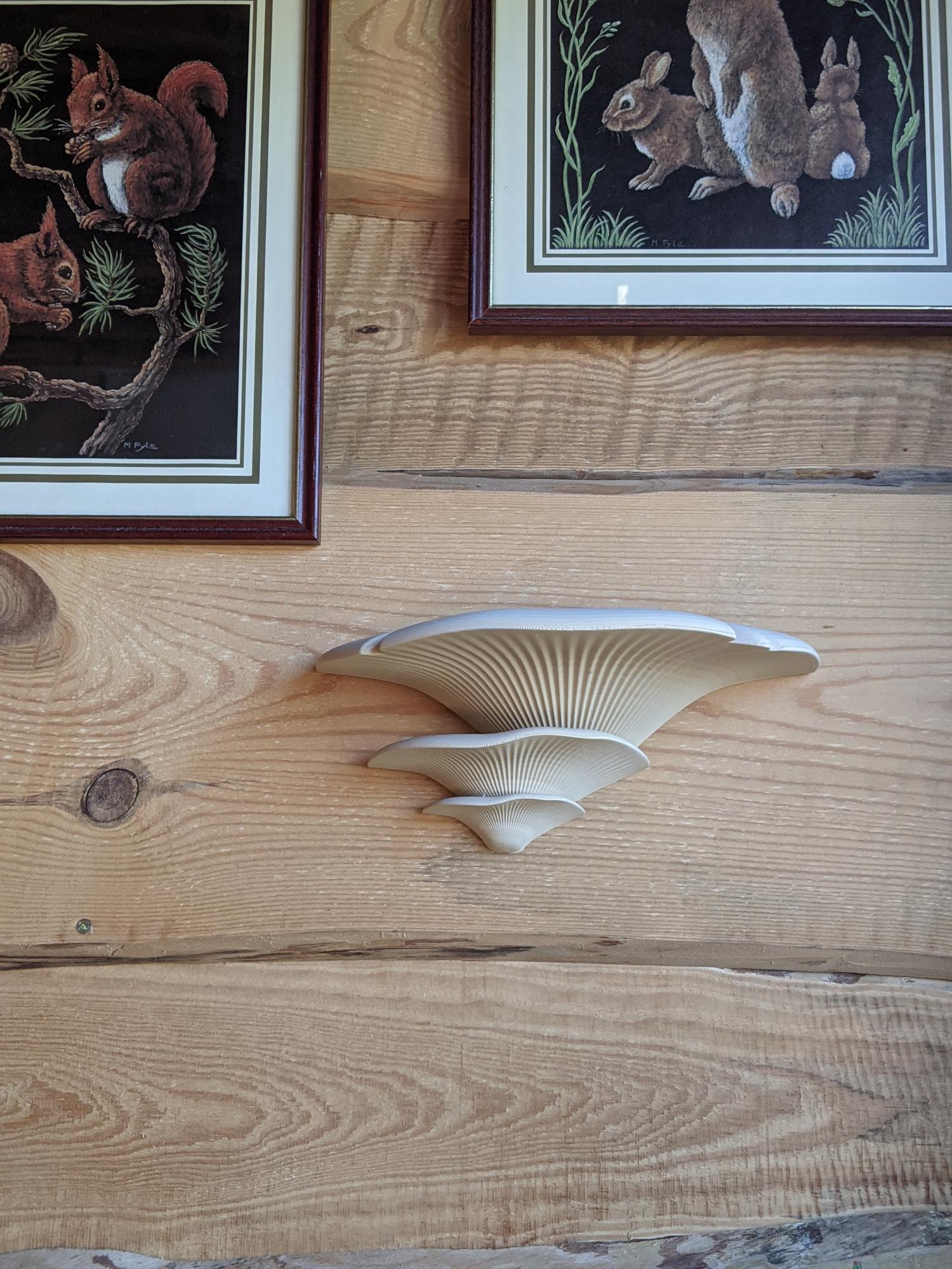 Dekoratyviniai Grybai Beige