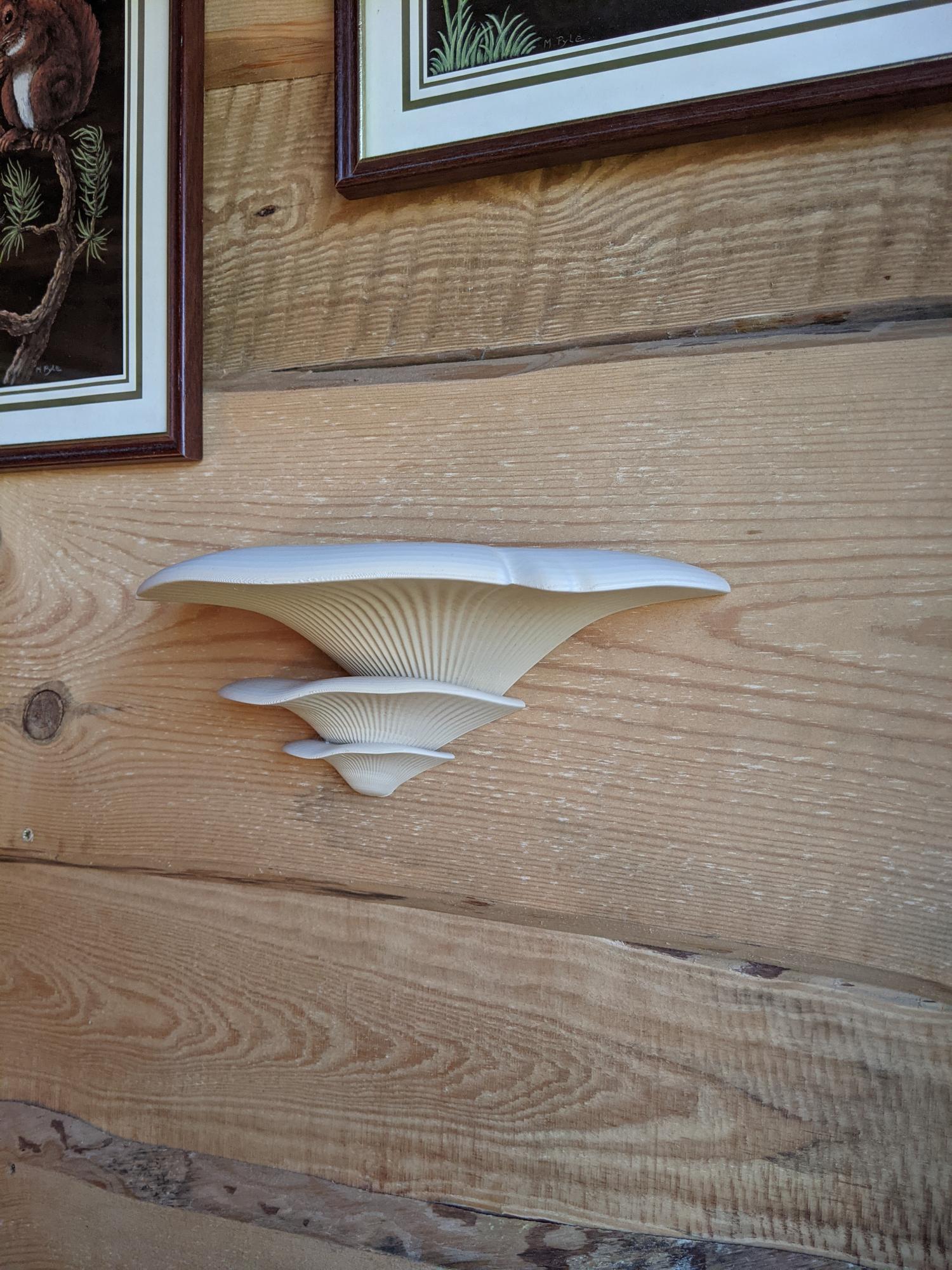 Dekoratyviniai Grybai Beige