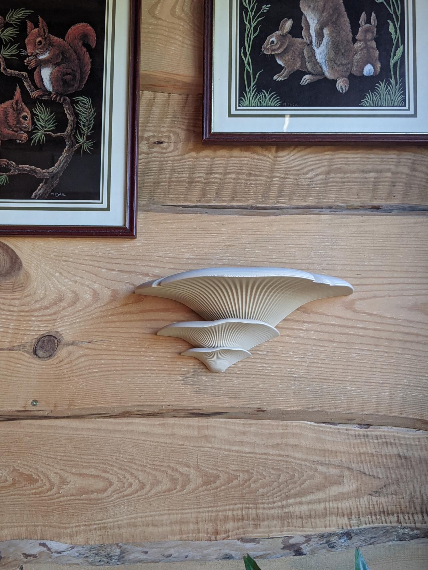 Dekoratyviniai Grybai Beige