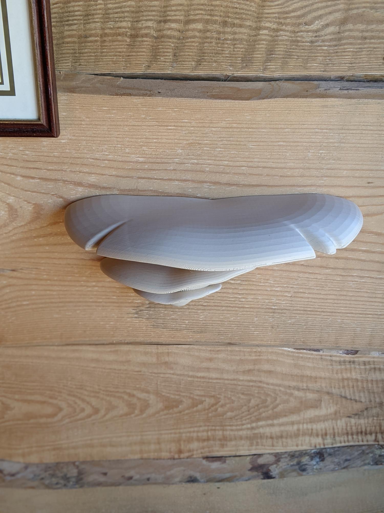 Dekoratyviniai Grybai Beige