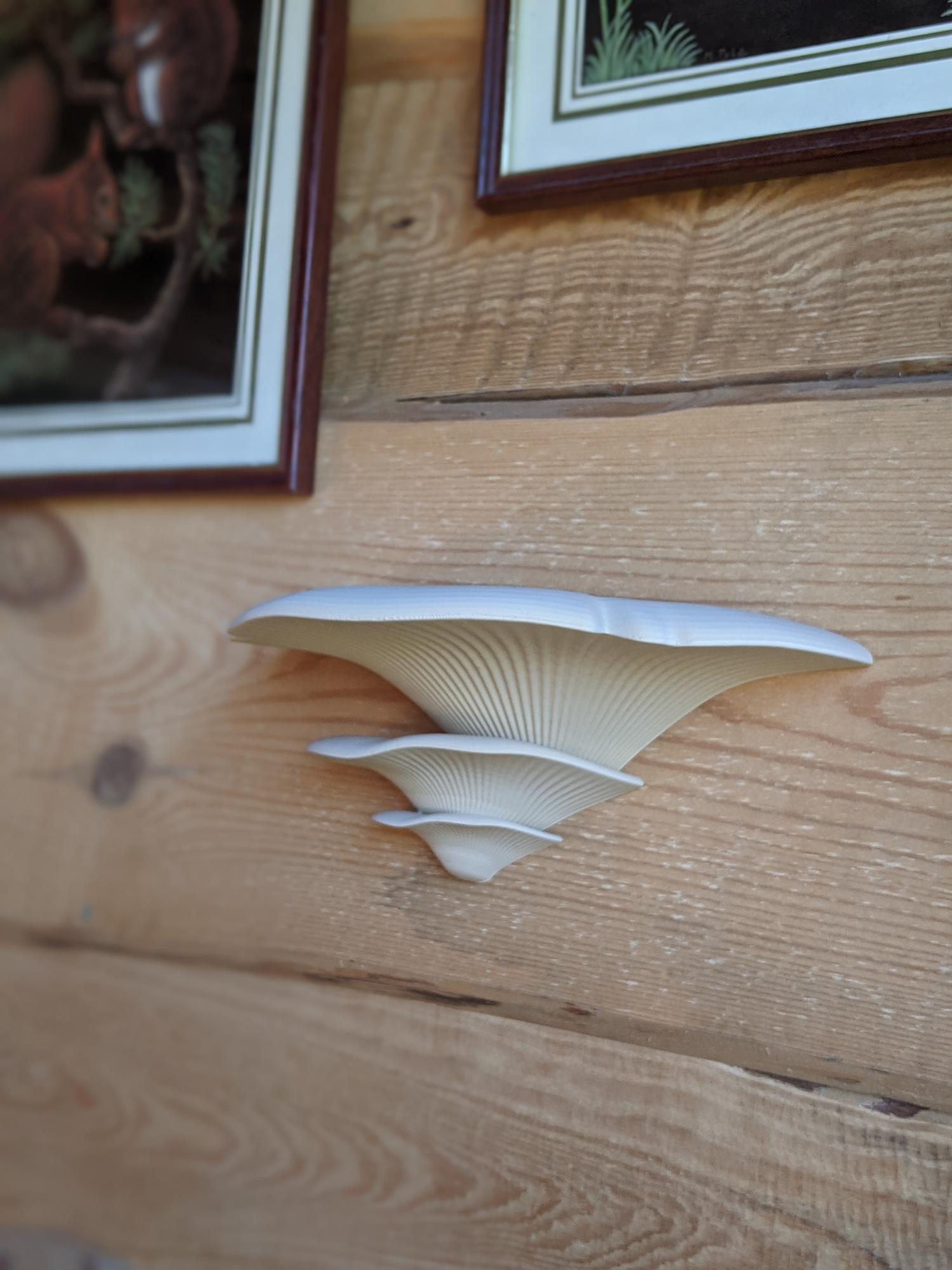 Dekoratyviniai Grybai Beige