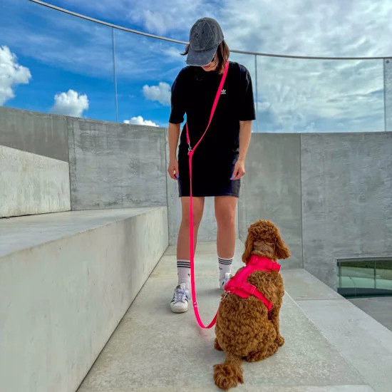Biotano pavadėlis 19mm NEON PINK (3m ilgio)