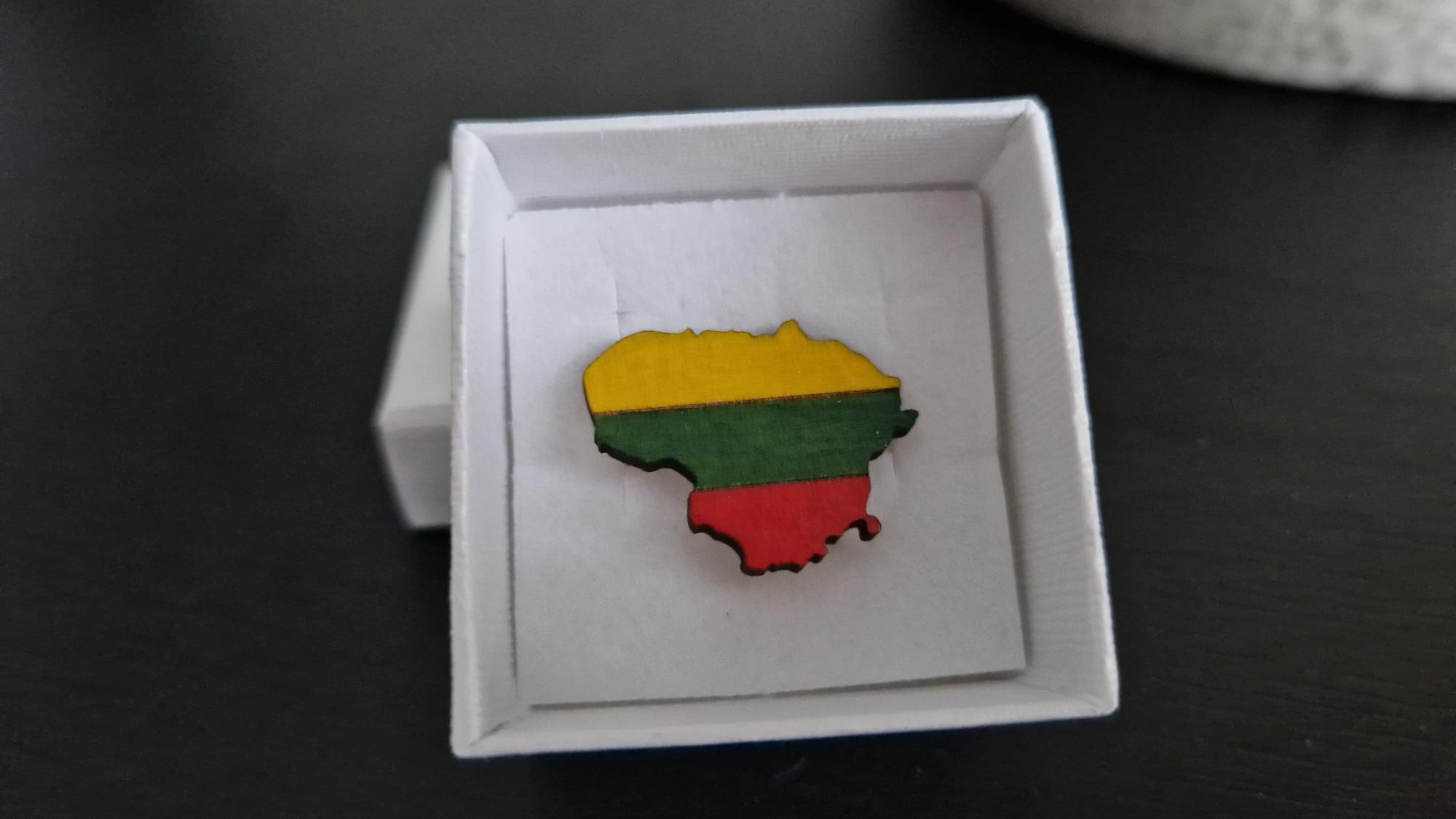 Medinė, rankų darbo sagė „Lietuva“