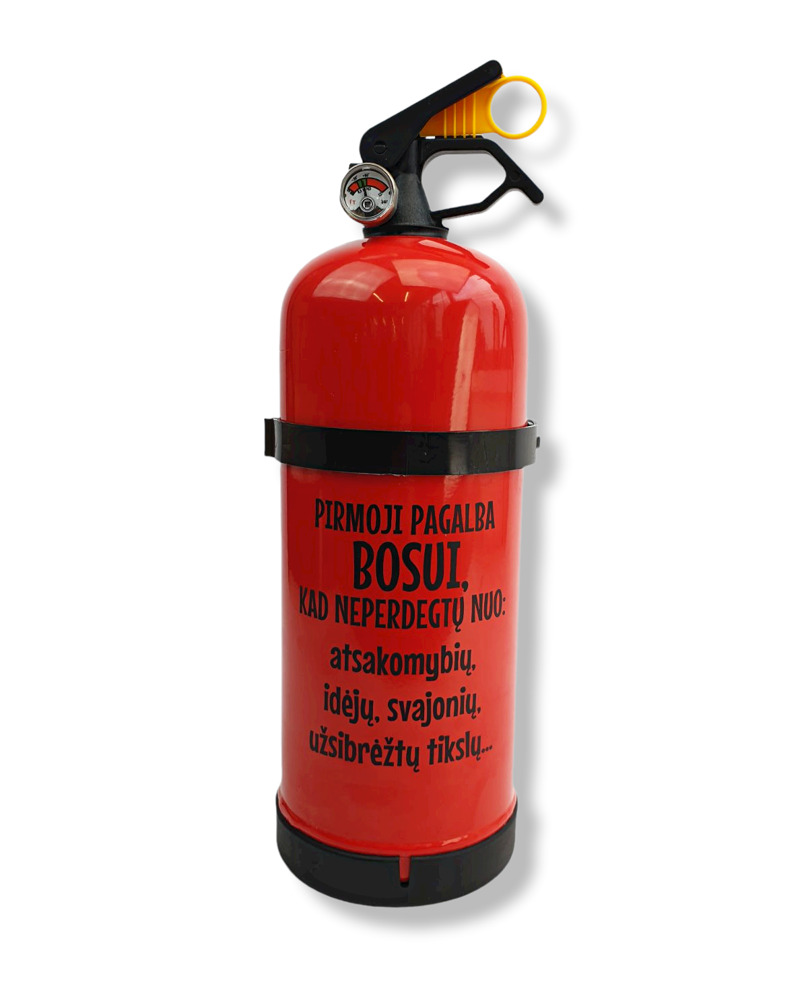 Gesintuvas 2kg. „Pirmoji pagalba BOSUI“