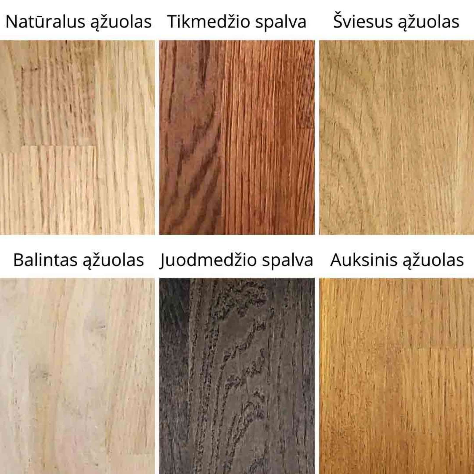 Moderni konsolė BOKŠTAS-1