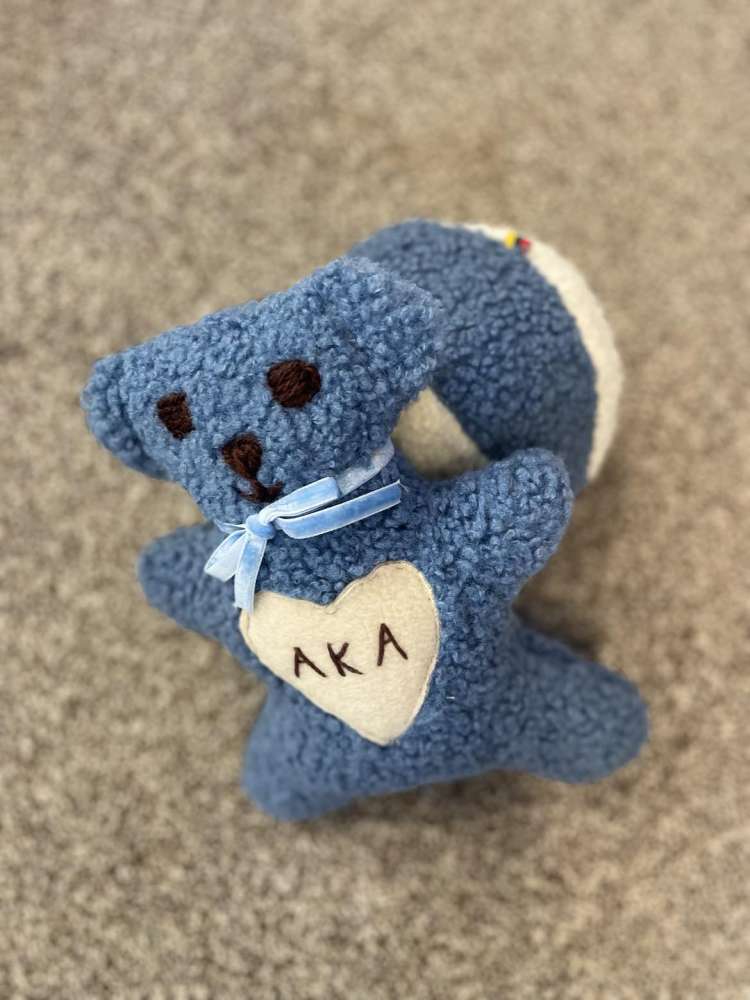 SĖDINUKAS ,,TEDDY VANDENYNAS,,