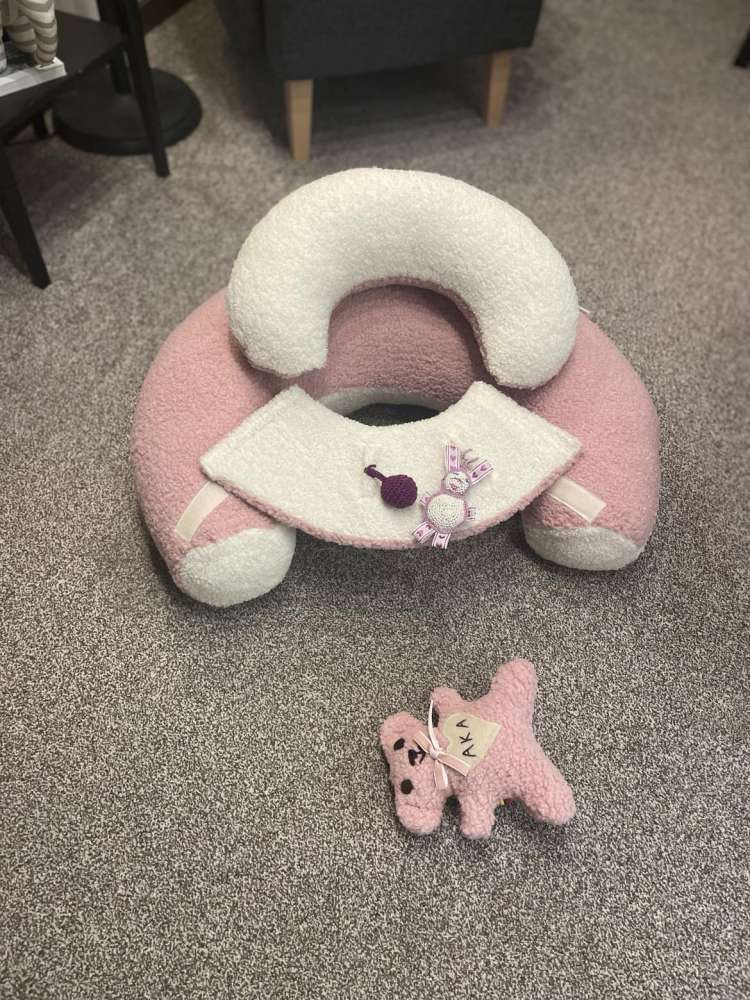 SĖDINUKAS ,,TEDDY LEDINUKAS,,