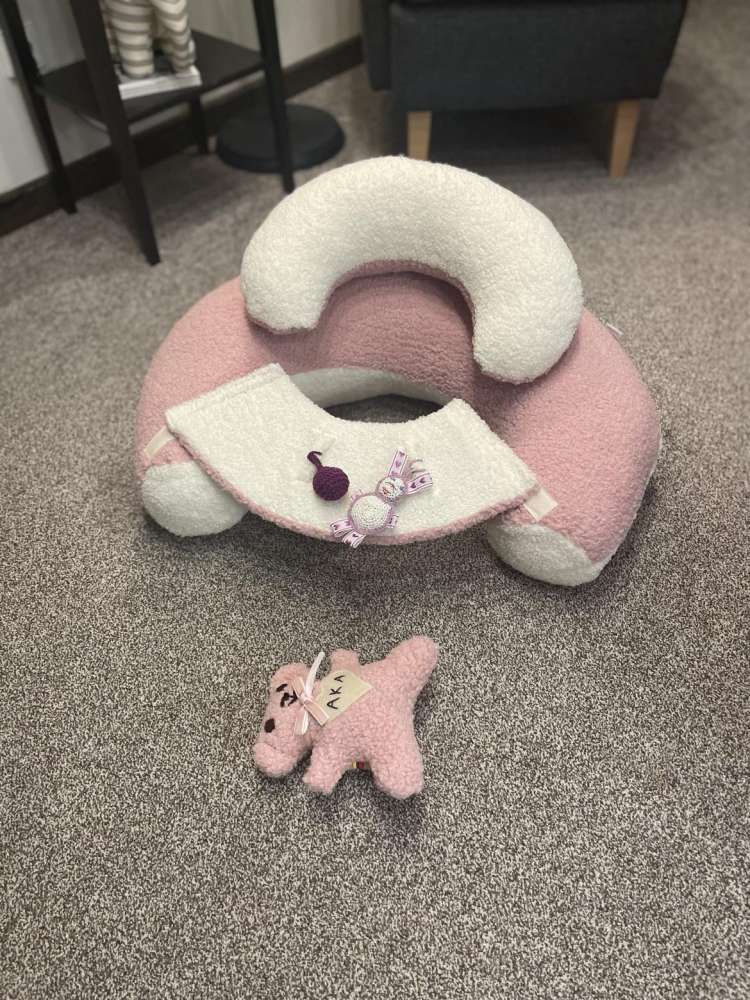 SĖDINUKAS ,,TEDDY LEDINUKAS,,