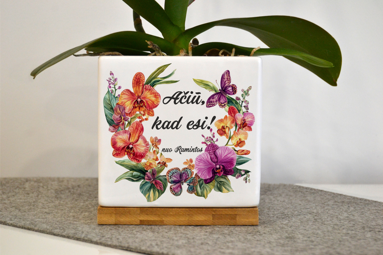 Spalvotas vazonėlis mamai „Orchidėjų kompozicija”