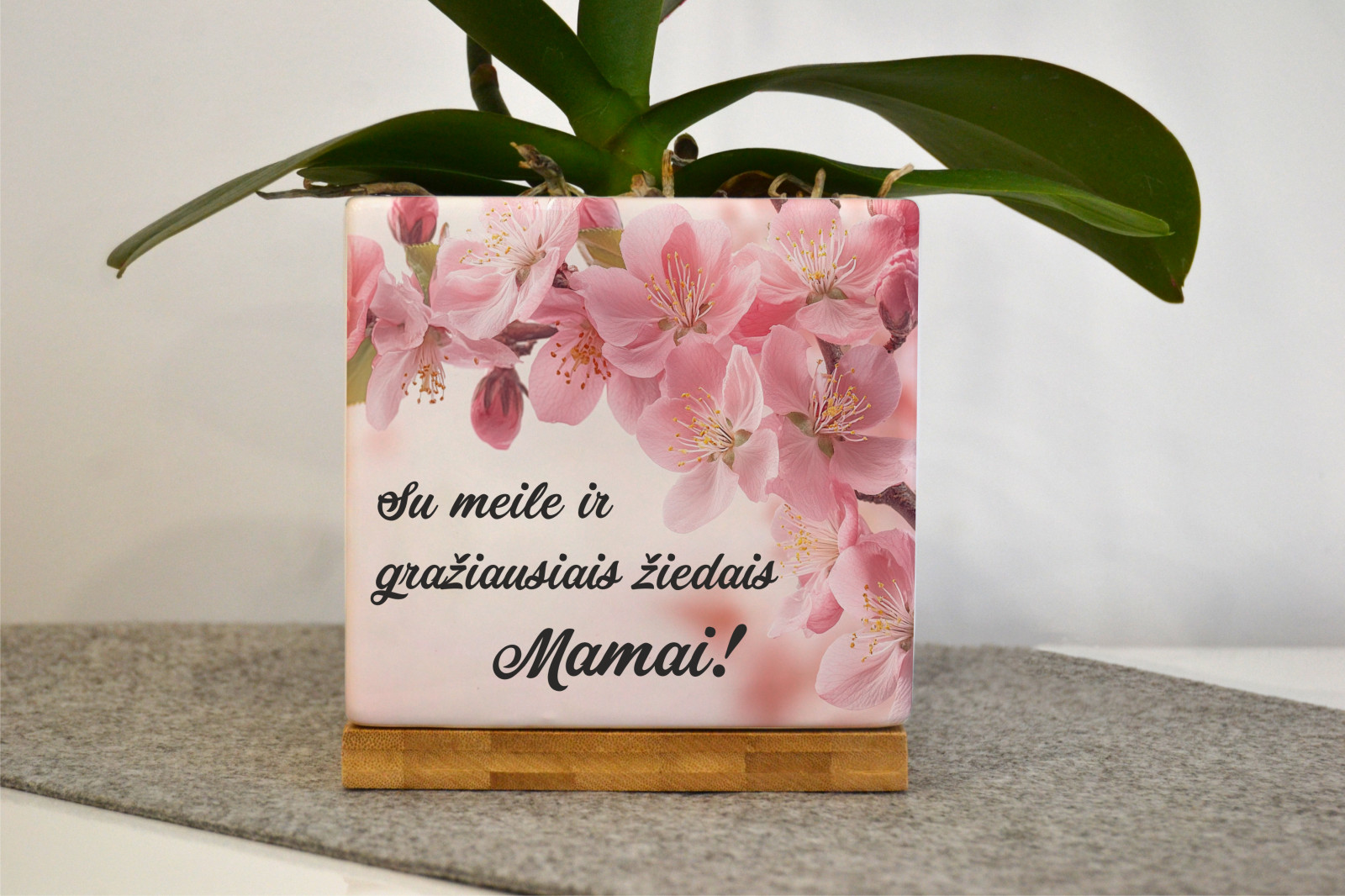 Vazonėlis Mamos dienai „Vyšnių žiedai”