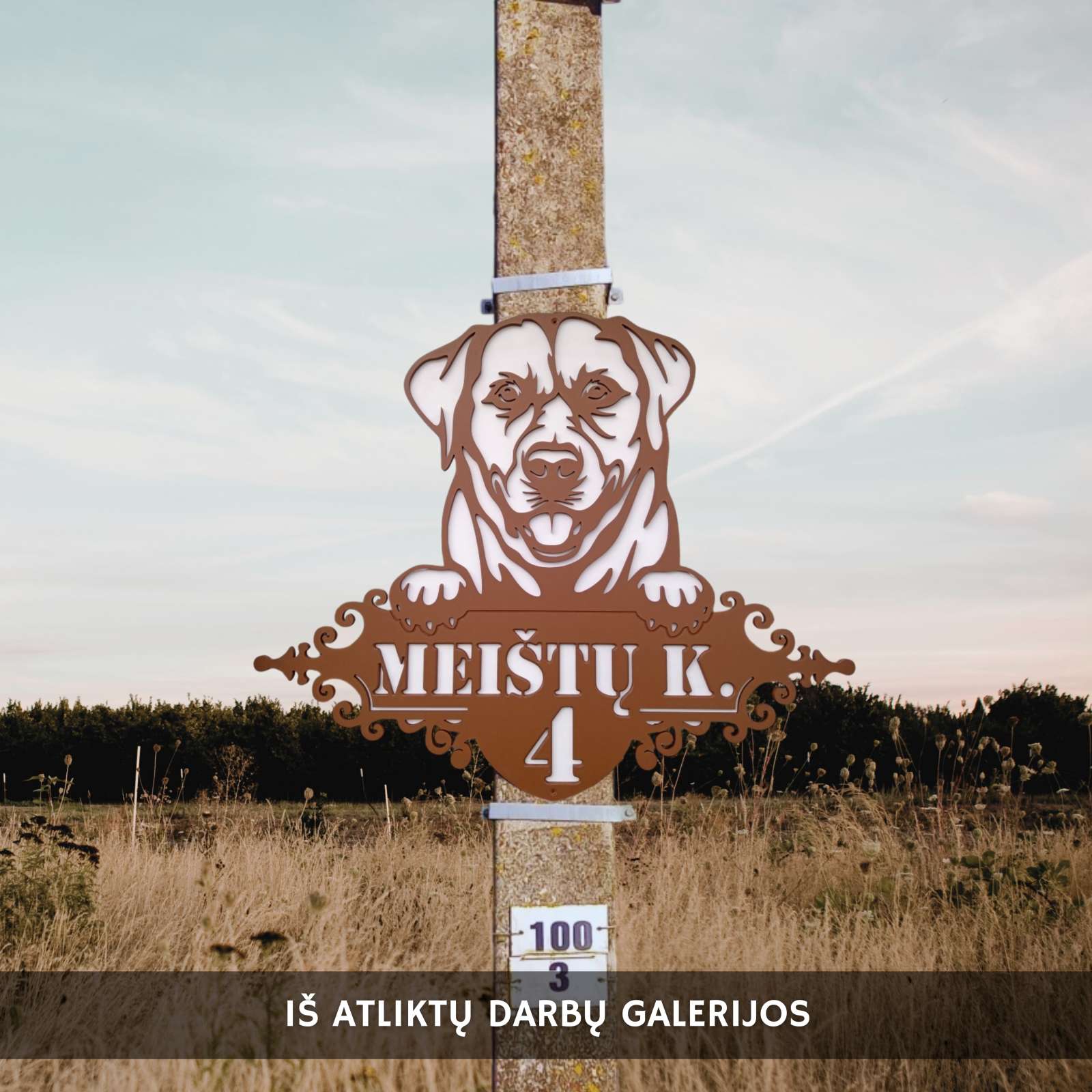 Dviejų dalių adreso lentelė „Labradoras“