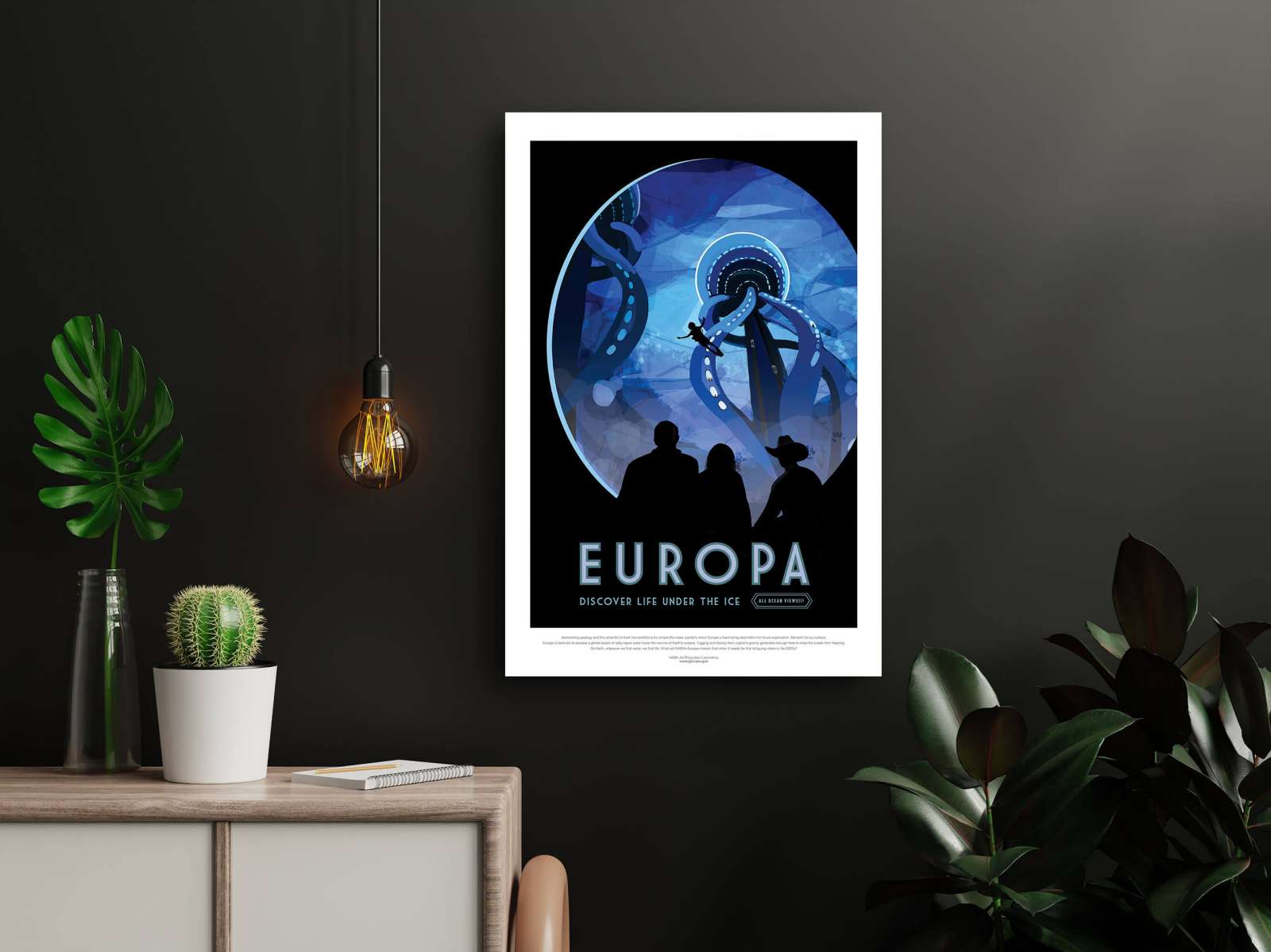 NASA Plakatas „Europa“