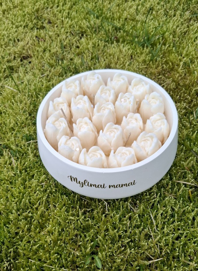 Tulpės XXL Mylimai mamai