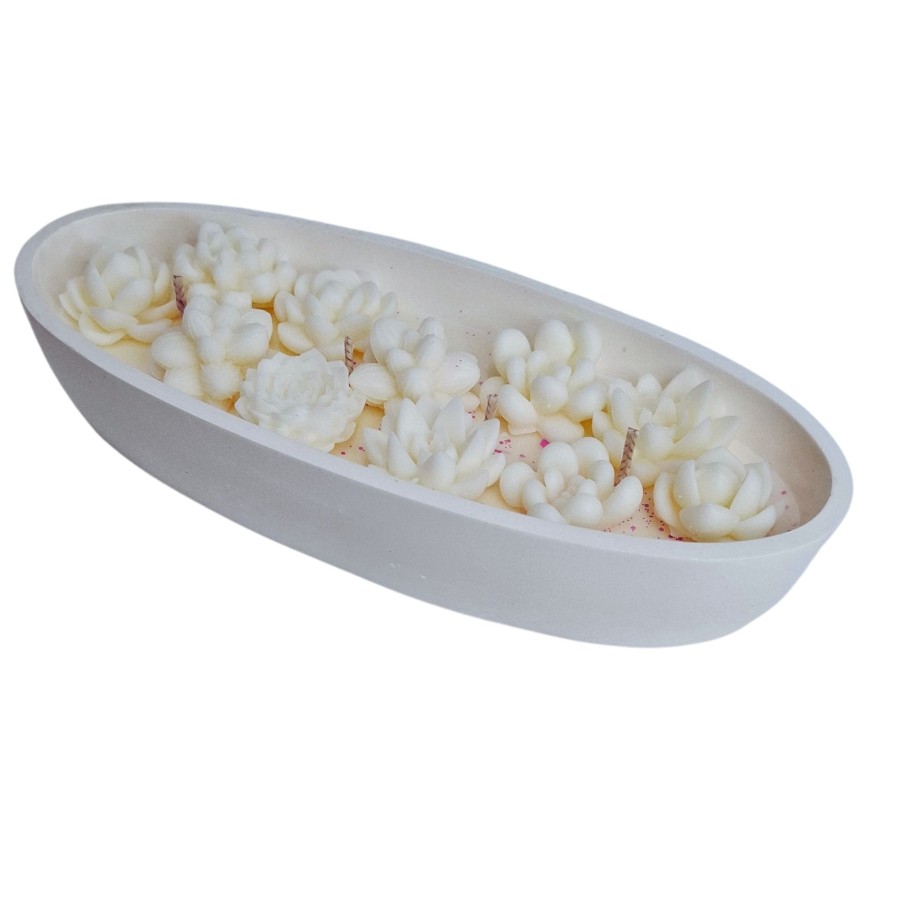 Žvakė „Sukulentai“, XL