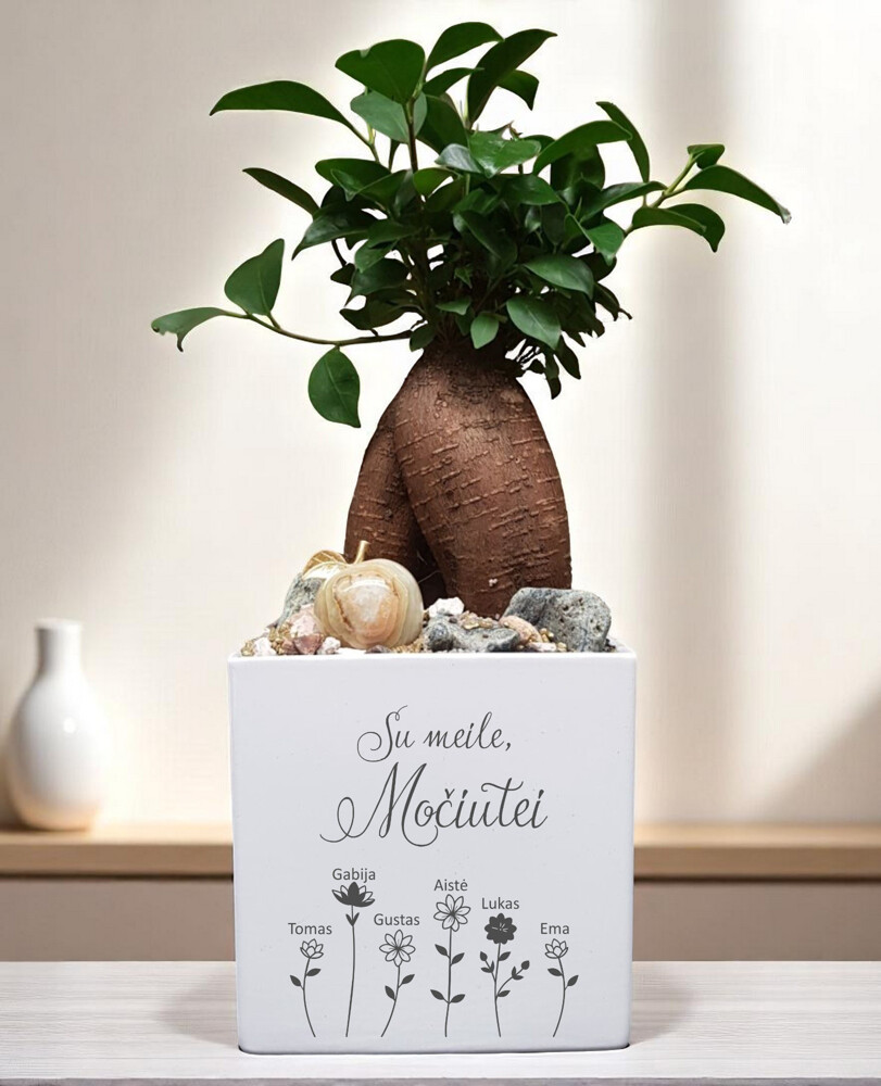 Vazonas „Su meile, Močiutei“ (Su anūkų vardais)