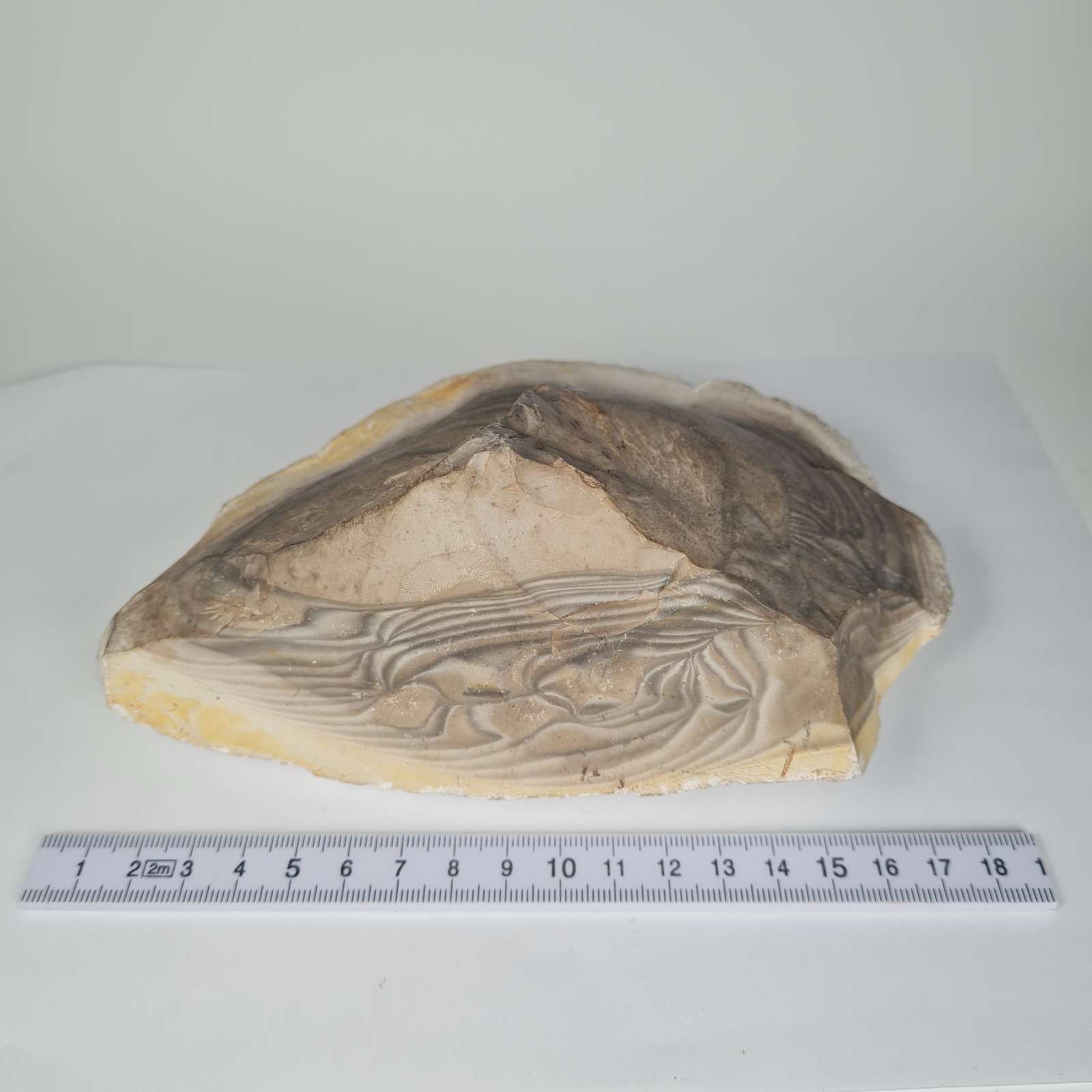 Titnagas A0011