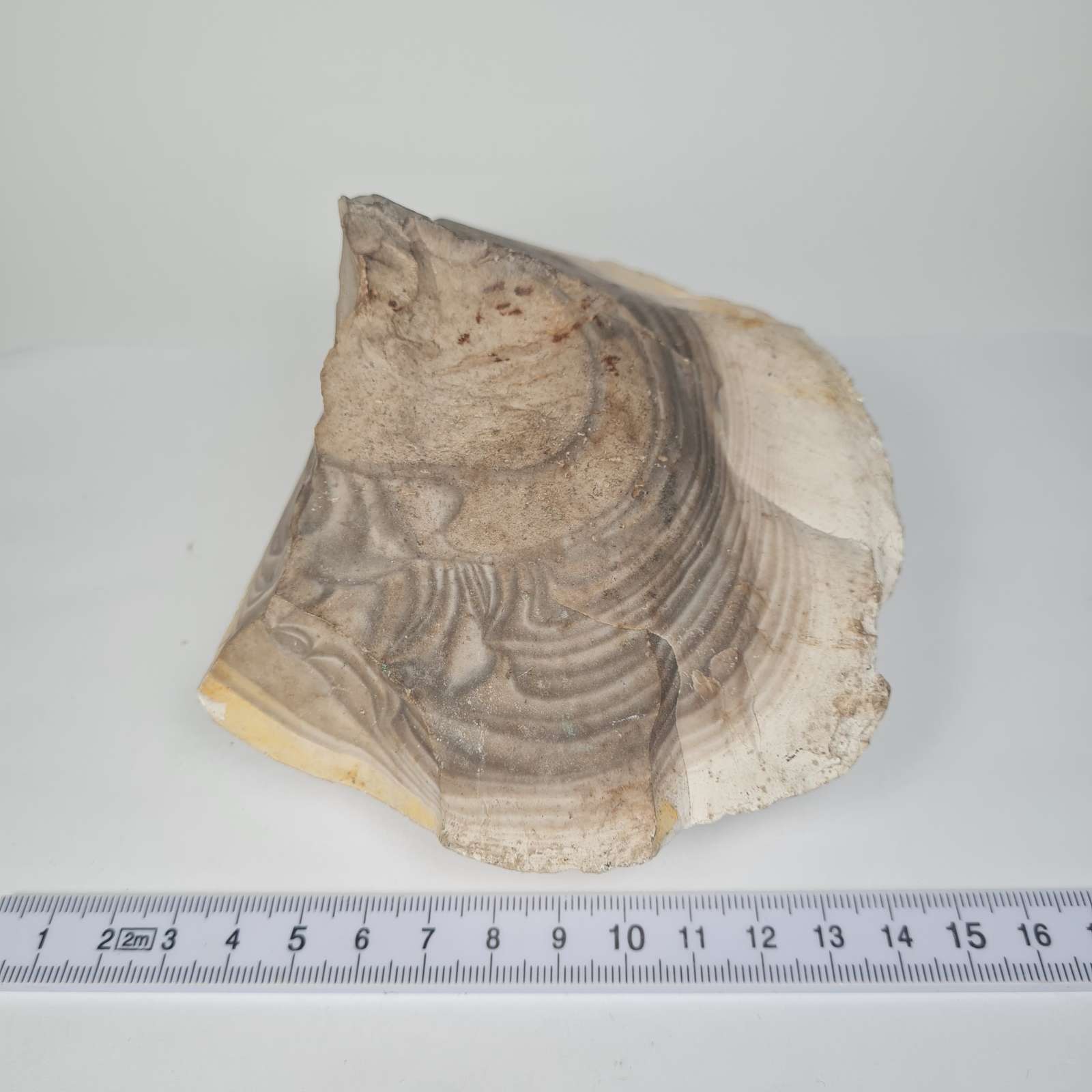 Titnagas A0011