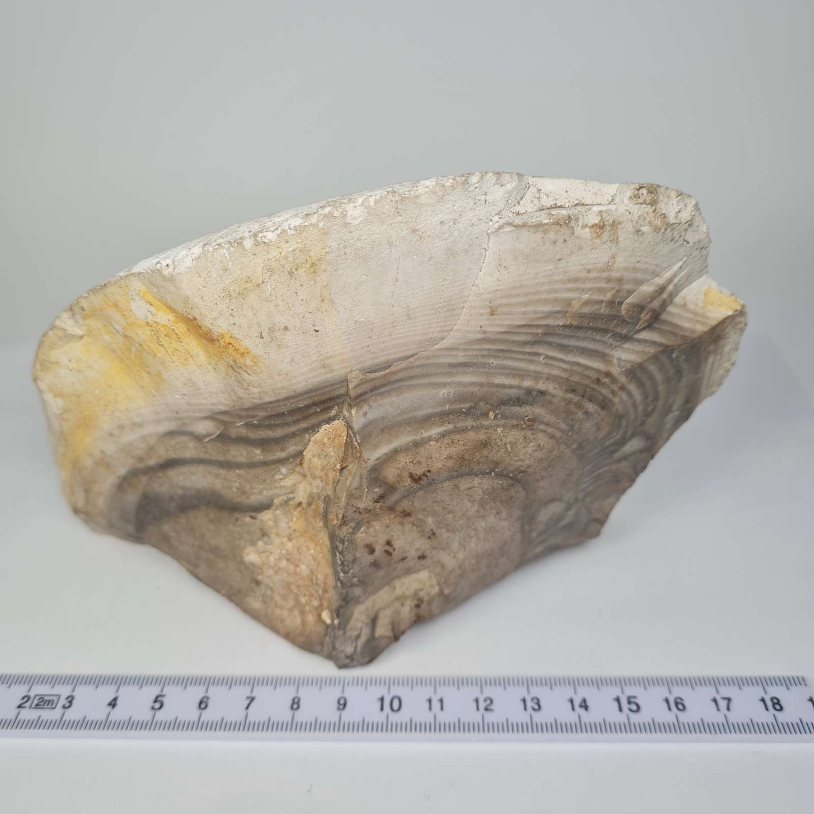 Titnagas A0011