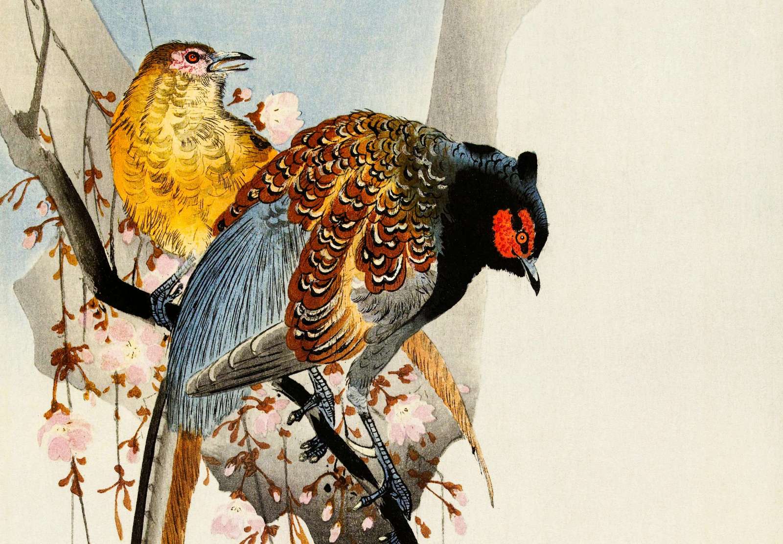 Reprodukcija „Fazanų pora ir slyvų žiedai“, Ohara Koson