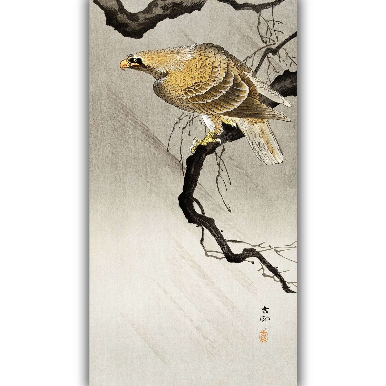 Reprodukcija „Erelis ant šakos“, Ohara Koson