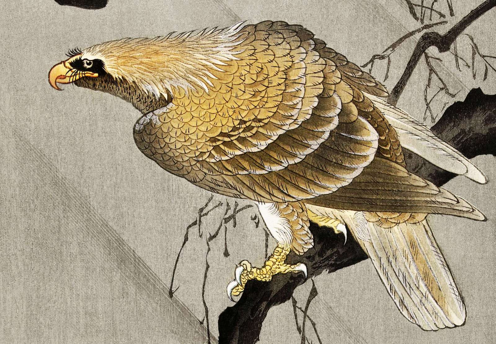 Reprodukcija „Erelis ant šakos“, Ohara Koson