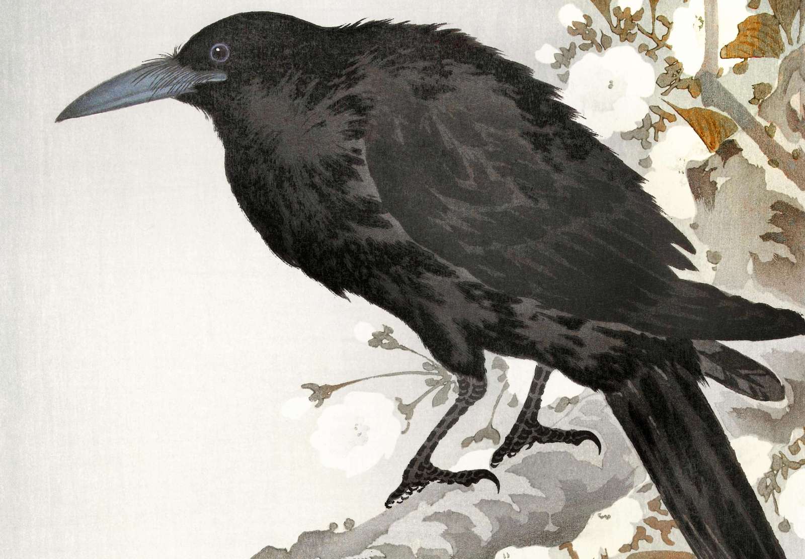 Reprodukcija „Varna ir pilnatis“, Ohara Koson