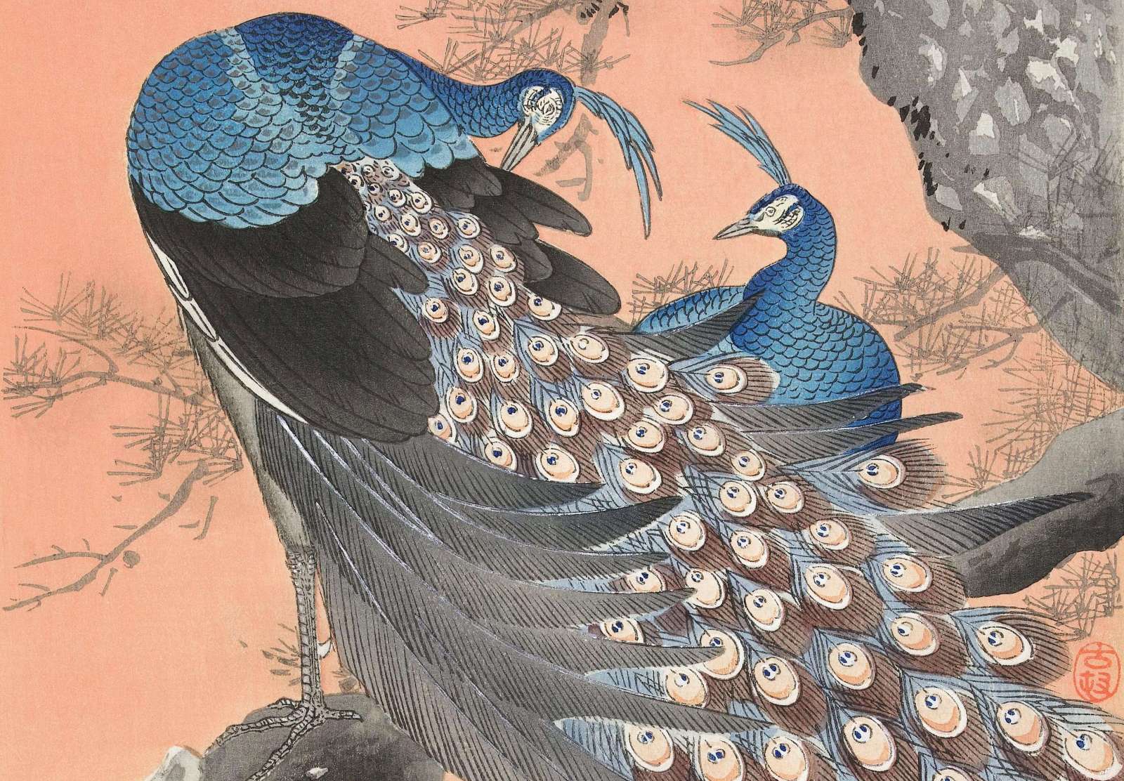 Reprodukcija „Du povai medyje“, Ohara Koson