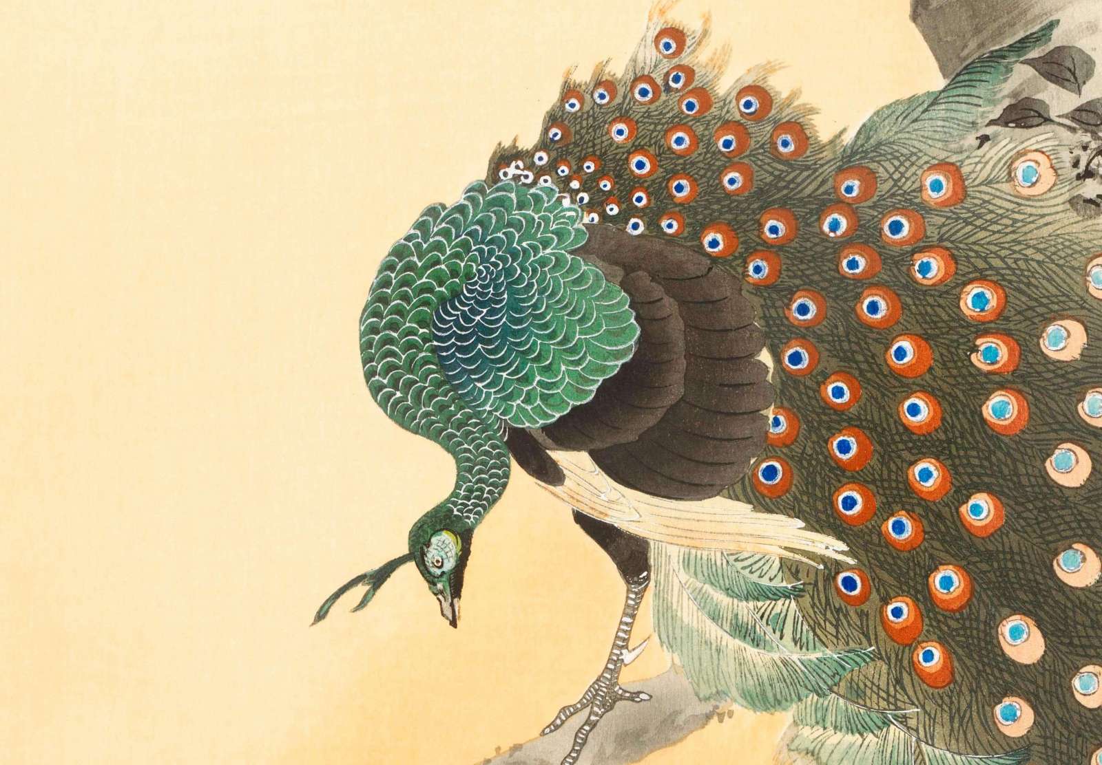 Reprodukcija „Povas ant žydinčios vyšnios“, Ohara Koson