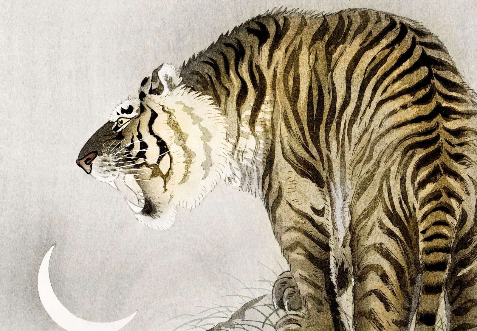 Reprodukcija „Riaumojantis tigras“, Ohara Koson