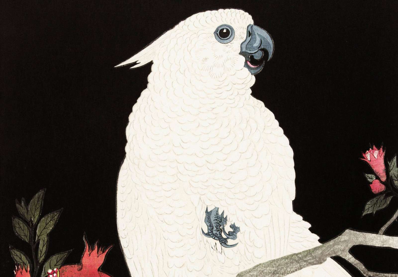 Reprodukcija „Kakadu ir granatas“, Ohara Koson